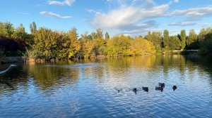 РОСТОВСКИЙ ЗООПАРК 🐻🐯🦆🦋🐢🐠 РОСТОВСКИЙ АКВАПАРК 🌊😍 ПИКНИК В ЛЕСУ🌲🍁 ВЛОГ