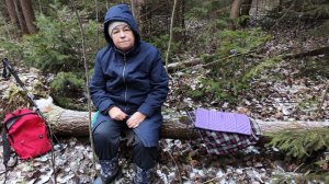 Собираем грибы в ноябре! В лес 12 ноя 2025, фламмулина.