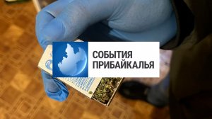 События Прибайкалья от 13.11.2025 | Выращивал наркотики | Исторический проект | «Кубок Глобуса»