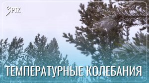 Две месячные нормы осадков ожидают забайкальцев в ноябре