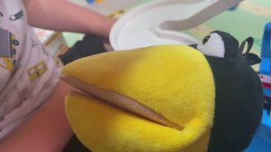 Машины и ворона Ася