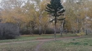 10,11. 10   Красивая прогулка в парке ...  А снег идет...