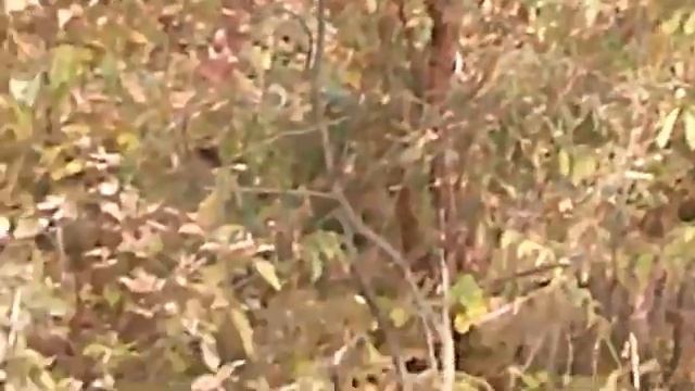 Я буду всю жизнь любить тебя  - Автор и музыка Дмитрий Денисов поёт Дима Фантомас смотреть онлайн