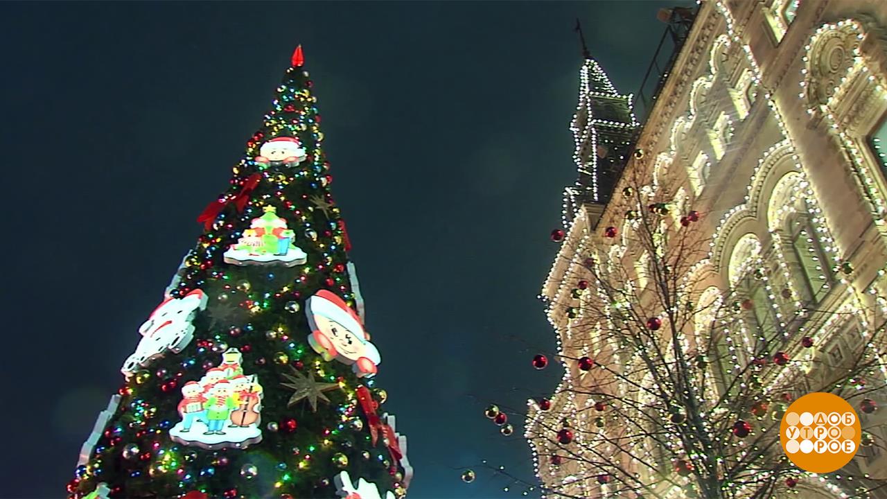 Знакомьтесь: Главная Елка страны! Доброе утро. Фрагмент выпуска от 13.11.2025