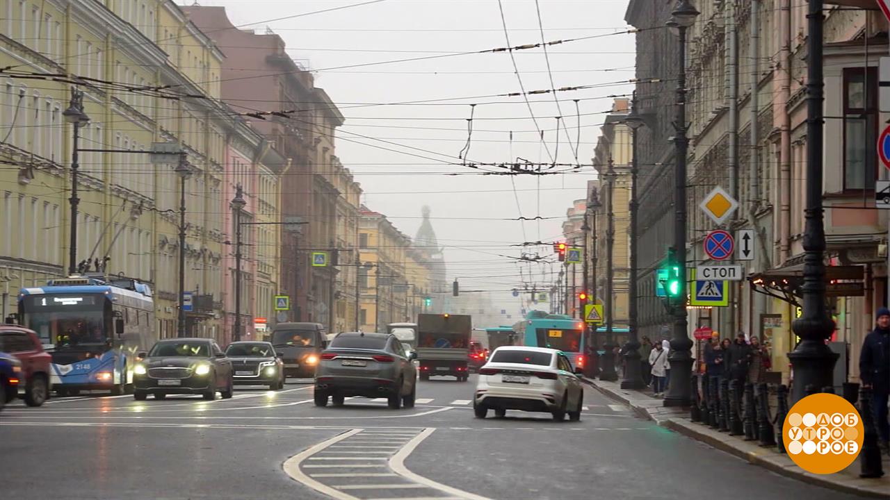 Питер. Самый умный, что ли? Доброе утро. Фрагмент выпуска от 13.11.2025