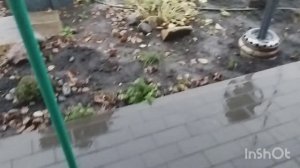 12/ 11 /2025 продолжение следует /как живут в русской деревне