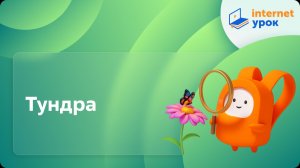 Окружающий мир 4 класс. Тундра