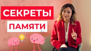 5 простых трюков чтобы всё помнить после обучения