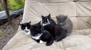 После работы!