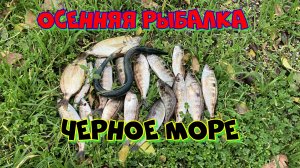 Осенняя рыбалка на Черном море