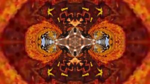 Футажи! Футаж Осень 12! Фантастические краски осени!