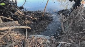 Строительство, расчистка дренажной трубы