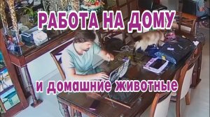 Работа на дому..