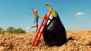 ТЕСТИРУЕМ ВИРАЛЬНЫЕ МАГИЧЕСКИЕ ТРЮКИ!  Реальны ли эти простые иллюзии или это обман?!