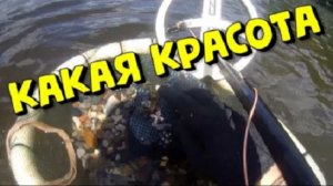 Грабли потеряли но нашёл ЗОЛОТО