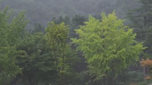 Kirin Camp ⚡КЕМПИНГ ПОД ЛИВНЕМ С УЮТНОЙ НАДУВНОЙ ПАЛАТКОЙ