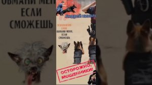 Продлеватели и отключатели 404.