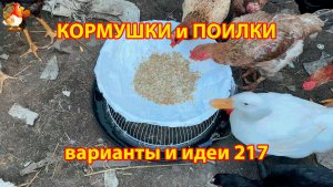Кормушки и поилки для кур своими руками 217 🪚✂️ Пошаговая инструкция как сделать 🐔 🐓❣️