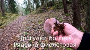 Прогулки по лесу.  По тропинке между двух гор.