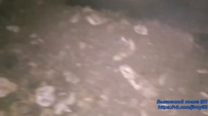 Пещеры Малинового оврага. Медвежья, Барсучья, Отшельника. #впбп #jivoy63