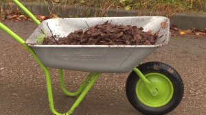 Придомовые территории в Рязани стали чище, но до идеала еще далеко