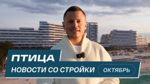 Комплекс Птица: новости со стройки | Октябрь 2025
