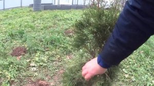 Простая жизнь в деревне. Картофельная запеканка. Уборка в гардеробной.