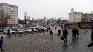 ГОЛУБИ В САРАТОВЕ НА СЕННОМ РЫНКЕ