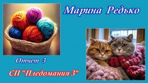 СП "Пледомания 3" / Отчет 3