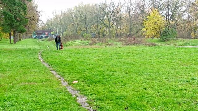 3.  выражено/пож ЭДЕЛЬВЕЙС КУБАНИ АДЕЛЬ (Эдельвейс Кубани Портос – Эдельвейс Кубани Гайя)