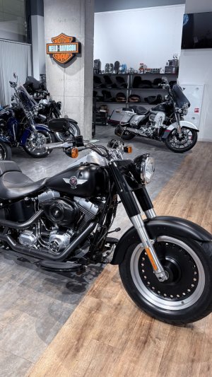 2013 Fat Boy ABS (Black Matt) 8,194 км