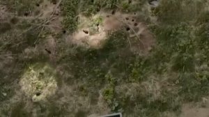 Крысиное царство обнаружено в Подмосковье — грызуны построили целый город в одном из дворов возле ЖК