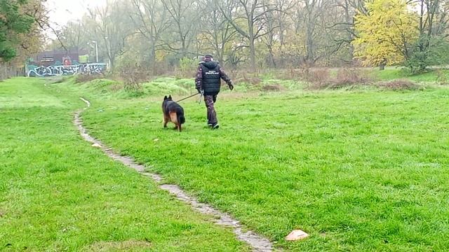 2.  выражено/пож ЛЕРУА МАДЛЕН МАЙБАХ (Леруа Мадлен Максимус – Whitebrant Genera)