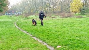 2.  выражено/пож ЛЕРУА МАДЛЕН МАЙБАХ (Леруа Мадлен Максимус – Whitebrant Genera)