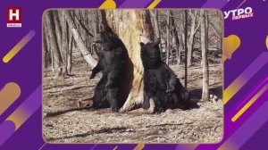 «Карта страны» в Калуге | В ТРЕНДЕ