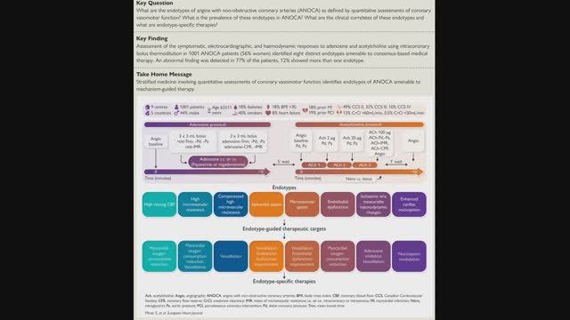 ANOCA - восемь эндотипов стенокардии при чистых артериях: проспективное многоцентровое исследование