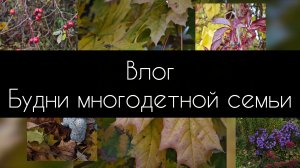 влог. будни многодетной семьи