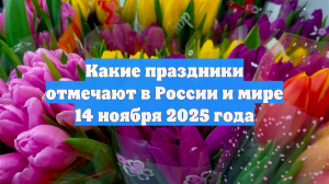 Какие праздники отмечают в России и мире 14 ноября 2025 года