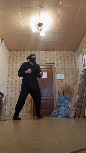 Крайне Северный Ниндзя: 14 Ноябрьское Чудо V (14.11.2025) Very Nordic Ninja: 14 November Wonder V