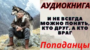 Аудиокнига И не всегда можно понять, кто друг, а кто враг. ПОПАДАНЦЫ