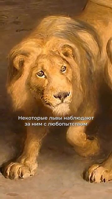Его бросили к голодным львам НО БОГ ПРИШЕЛ.... смотреть онлайн