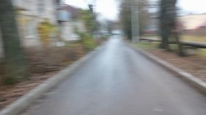 13.11.2025. Усадьба Парк Кино Ляхово. Парк Сибирских Кошек.Визитная карточка. Домодедово.Московская