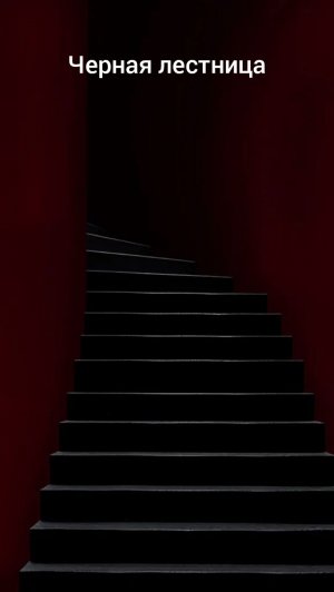 Спортики вывезли в лес