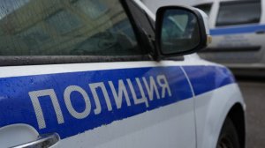 Блогера Елену Кристал избили во время проверки салона красоты в Петербурге