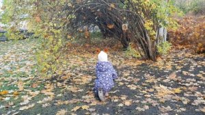 Песнь об осени