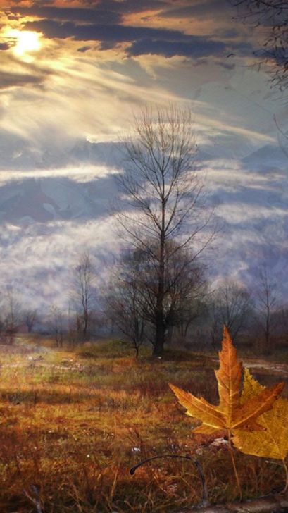 Осень-это поле, всё дождем пропитано. На стихи Александры Лебедевой