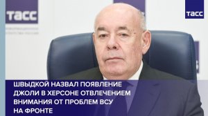 Швыдкой объяснил появление Джоли в Херсоне