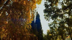 Абхазия, Гудаута, Кейт Парк