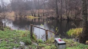 Магнитная рыбалка#Воронеж#36#Рыкань#Природа#Речка#Осень#Магнит#Рыбалка#Ниочем#неочем#Всем привет#