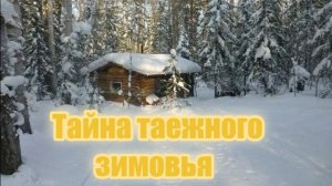Тайна таежного зимовья